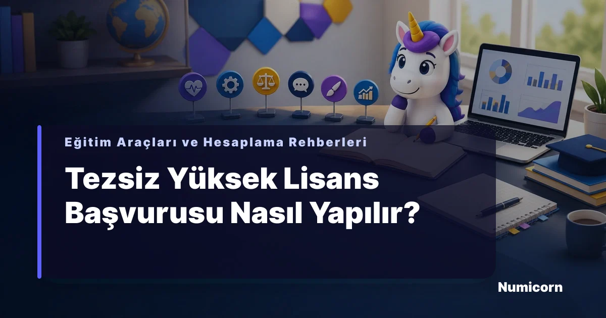 Tezsiz yüksek lisans başvuru ve program seçimi rehberini anlatan görsel