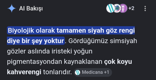 Kara Tahta yanıt görseli