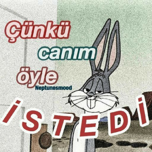 Kara Tahta yanıt görseli
