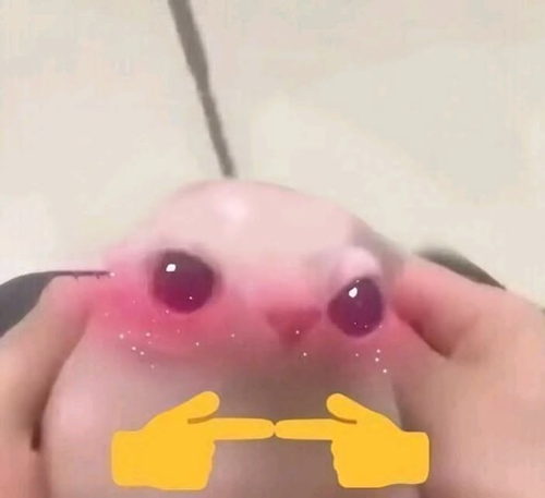 Kara Tahta yanıt görseli