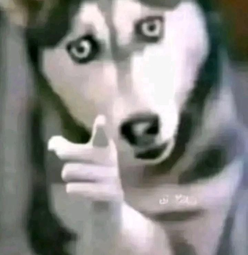 Kara Tahta yanıt görseli