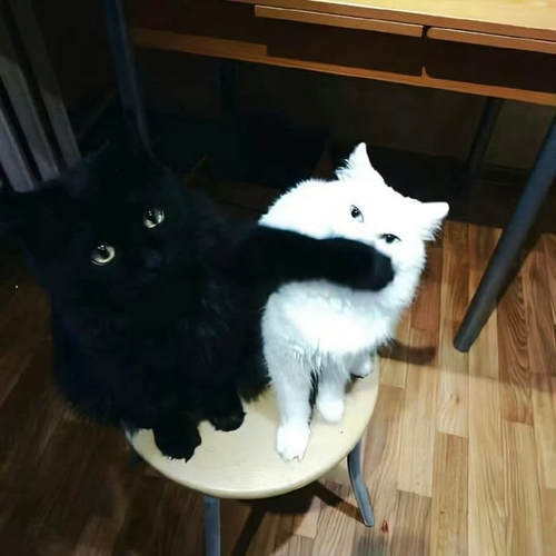 Kara Tahta yorum görseli