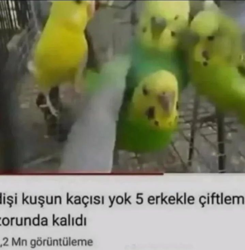 Kara Tahta yorum görseli