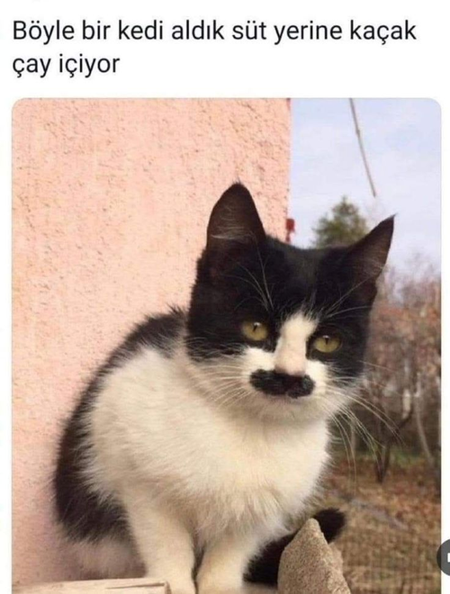 Kara Tahta yorum görseli