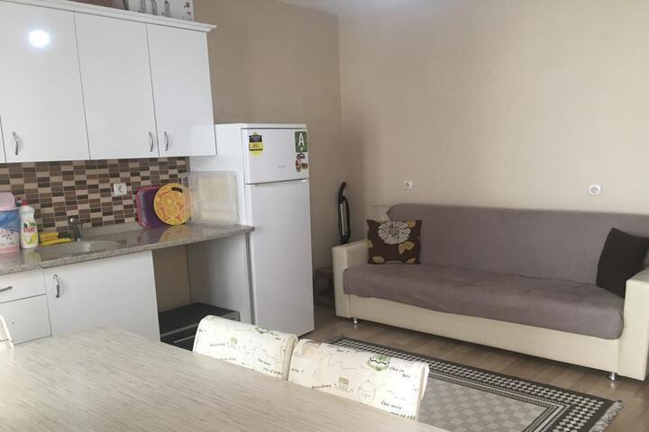 Akyıldız Bayan Apart Daireler yurt görseli