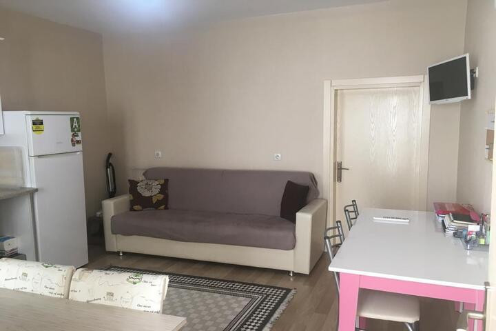 Akyıldız Bayan Apart Daireler yurt görseli