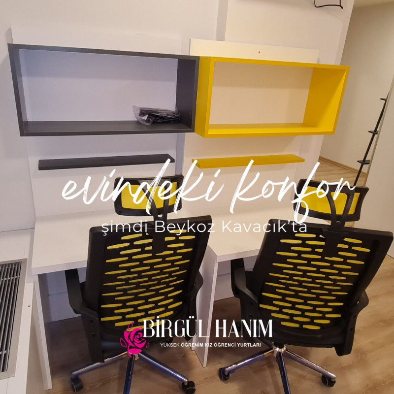 Birgül Hanım Kız Öğrenci Yurdu yurt görseli