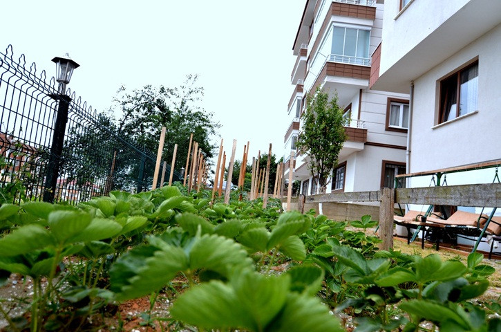 Konaklar Kız Premium Apart yurt görseli