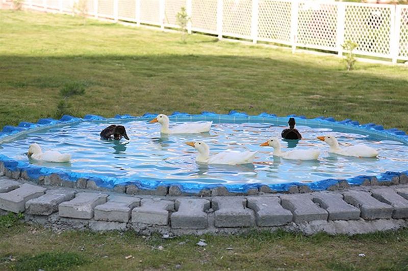 Niğde Milli Piyango KYK Erkek Öğrenci Yurdu yurt görseli
