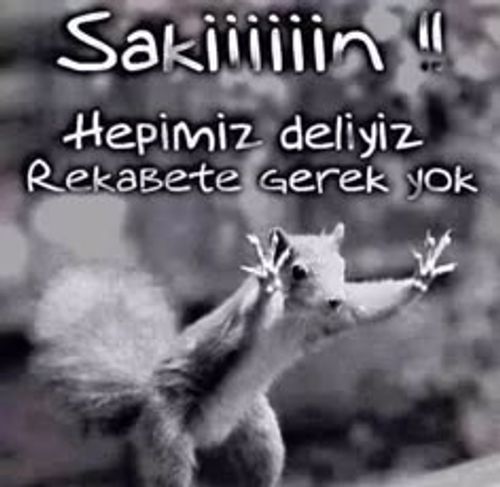 ÇALIŞKANLAR grup görseli