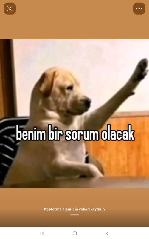 FENİ TAM YAPALIMM grup görseli