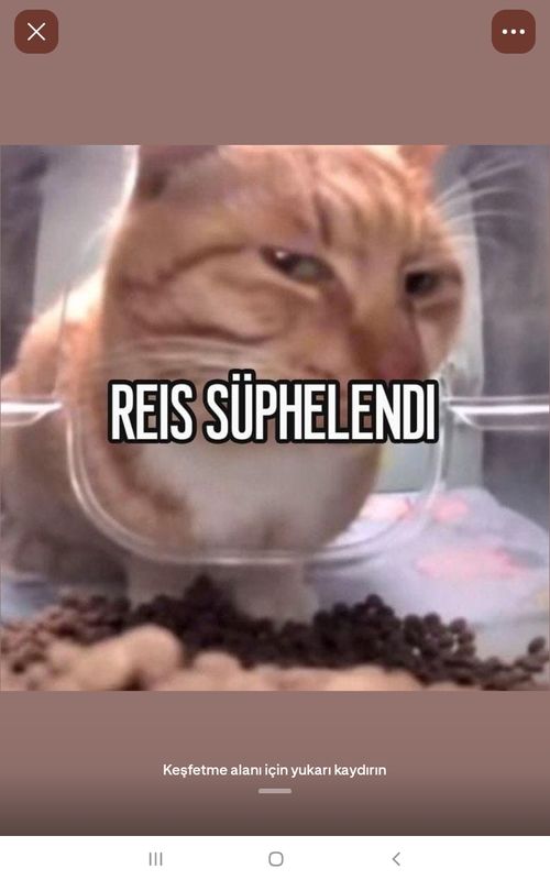 aktifler gelsin grup görseli