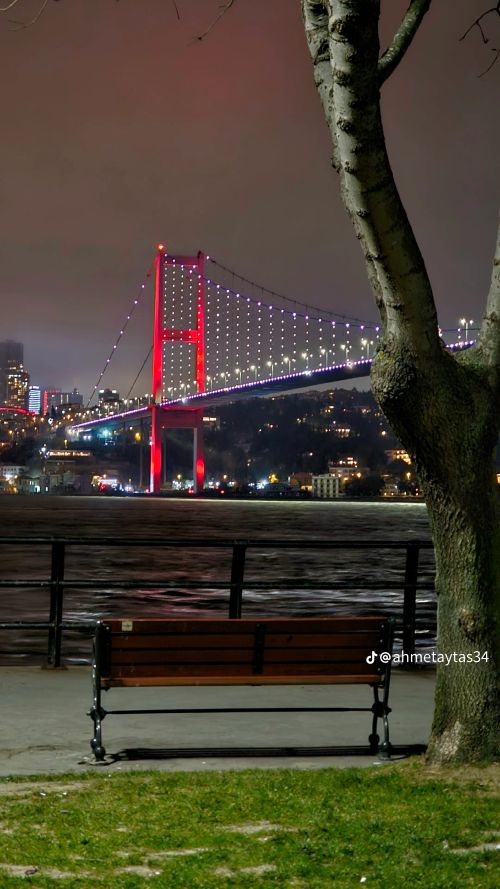 Kalp kırıklığı 💔💔💔💔💔 grup görseli