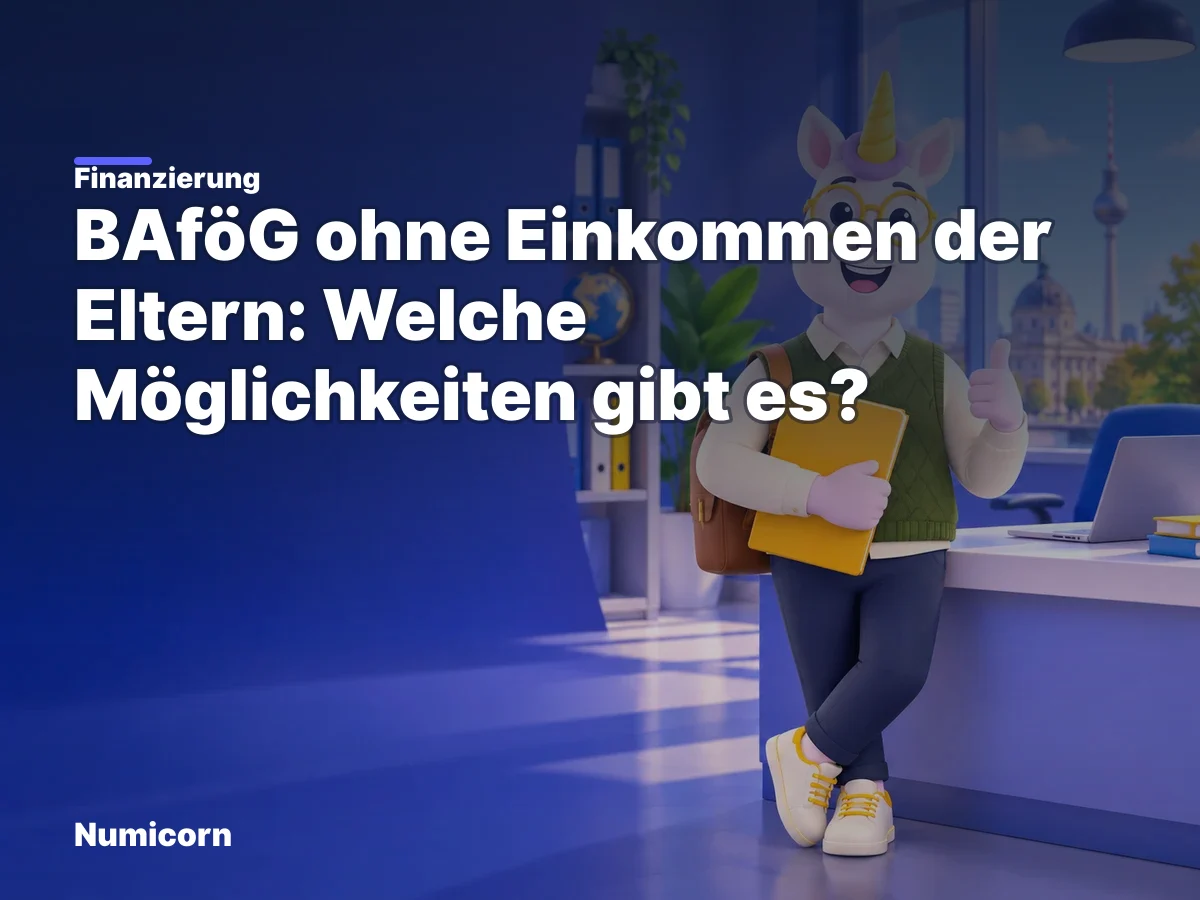 BAföG ohne Einkommen der Eltern: Welche Möglichkeiten gibt es?