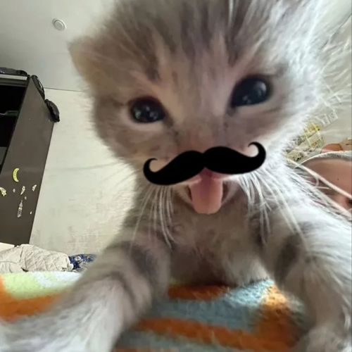 Kara Tahta paylaşım görseli