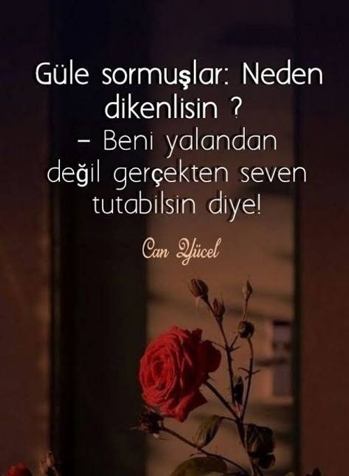 Kara Tahta paylaşım görseli