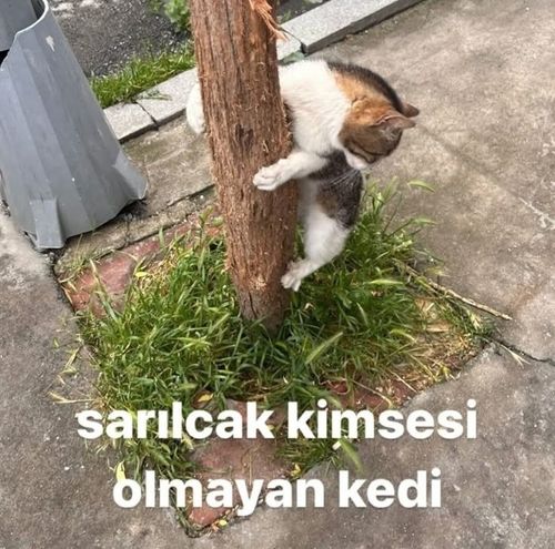 Kara Tahta paylaşım görseli