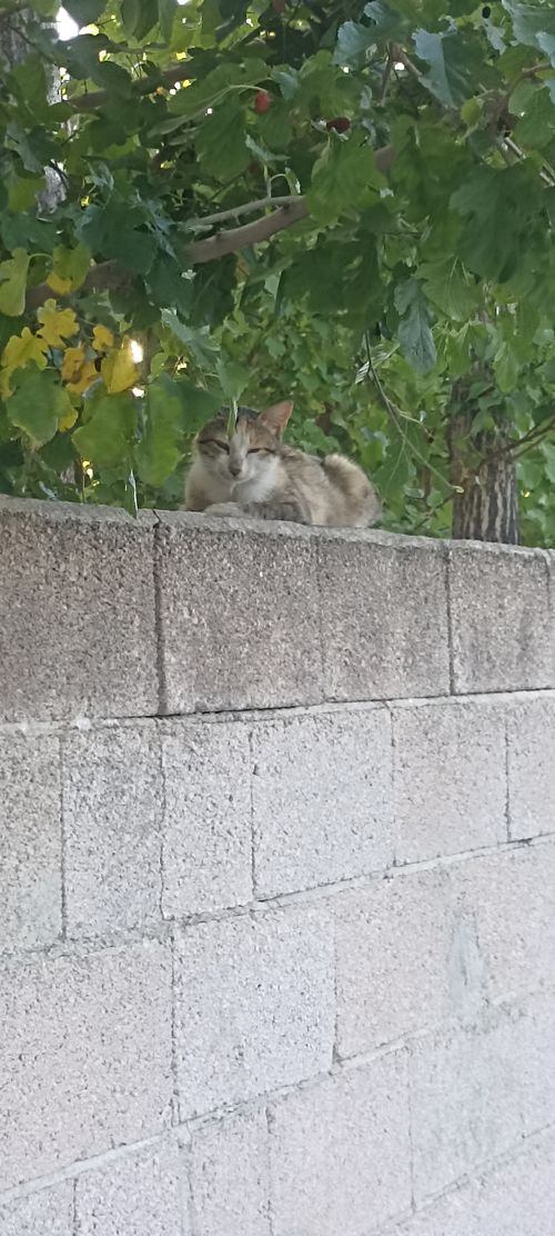 Kara Tahta paylaşım görseli