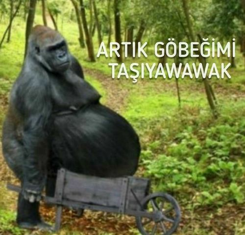 Kara Tahta paylaşım görseli