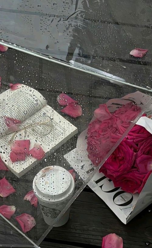 Kara Tahta paylaşım görseli