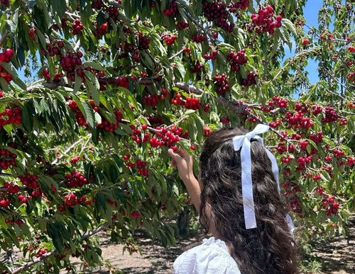 Kara Tahta paylaşım görseli