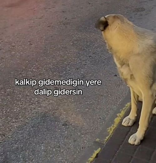 Kara Tahta paylaşım görseli