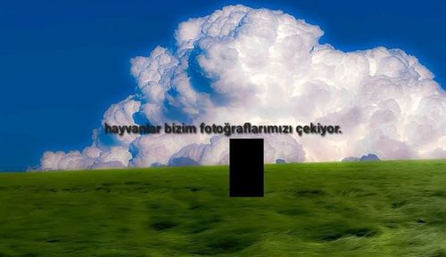 Kara Tahta paylaşım görseli