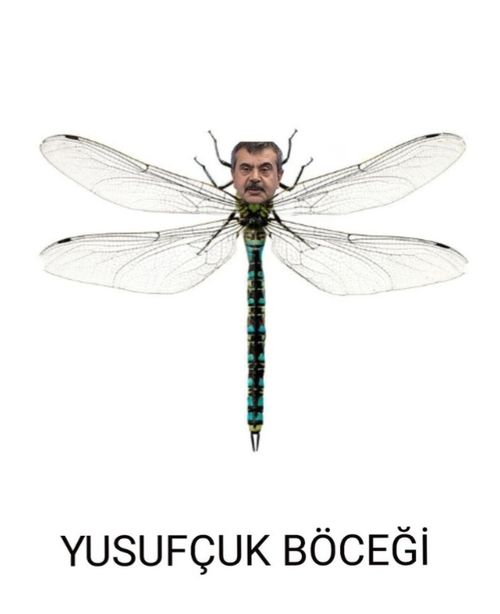 Kara Tahta paylaşım görseli