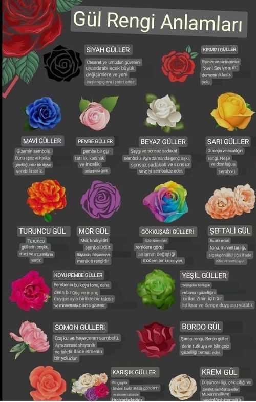 Kara Tahta paylaşım görseli