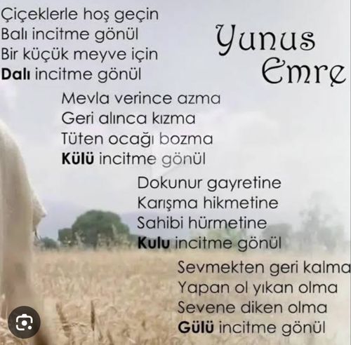Kara Tahta paylaşım görseli