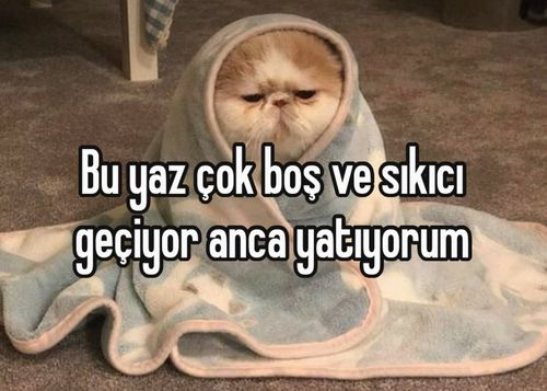 Kara Tahta paylaşım görseli