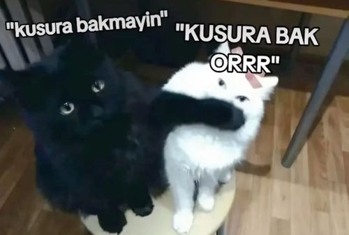Kara Tahta paylaşım görseli