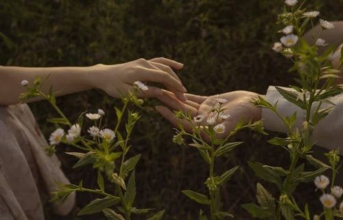 Kara Tahta paylaşım görseli