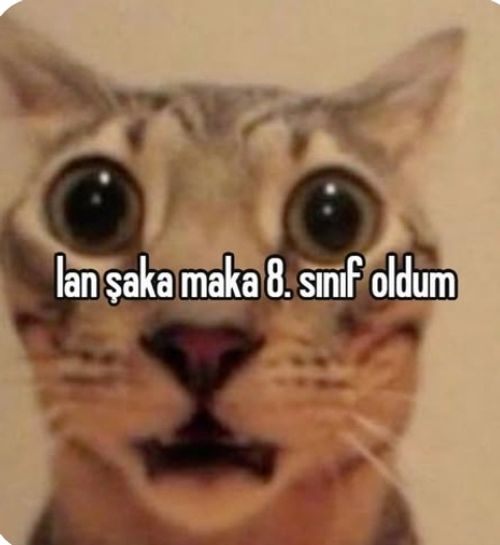 Kara Tahta paylaşım görseli