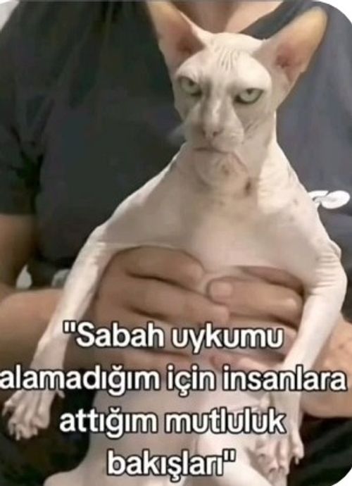 Kara Tahta paylaşım görseli