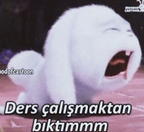 Kara Tahta paylaşım görseli