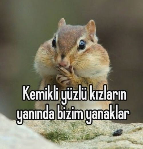 Kara Tahta paylaşım görseli