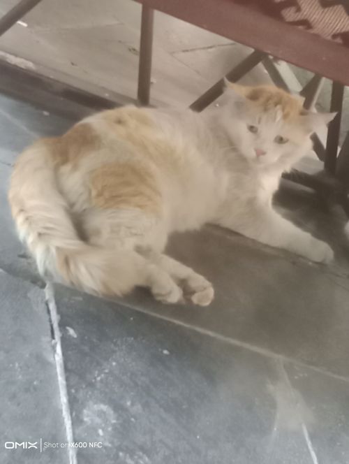 Kara Tahta paylaşım görseli