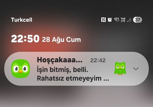 Kara Tahta paylaşım görseli