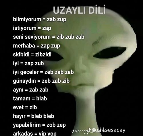 Kara Tahta paylaşım görseli