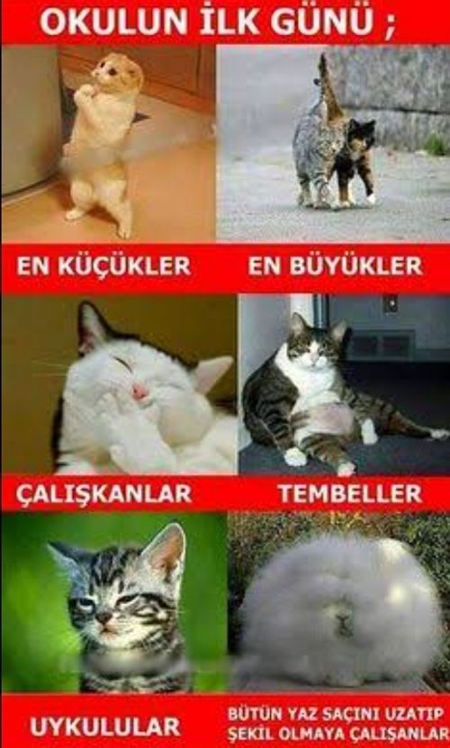Kara Tahta paylaşım görseli