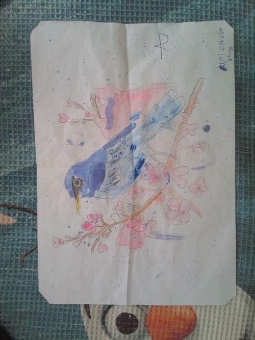 Kara Tahta paylaşım görseli