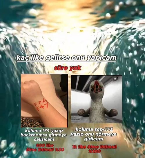 Kara Tahta paylaşım görseli