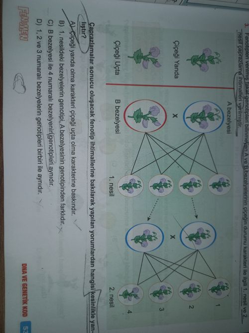 Kara Tahta paylaşım görseli