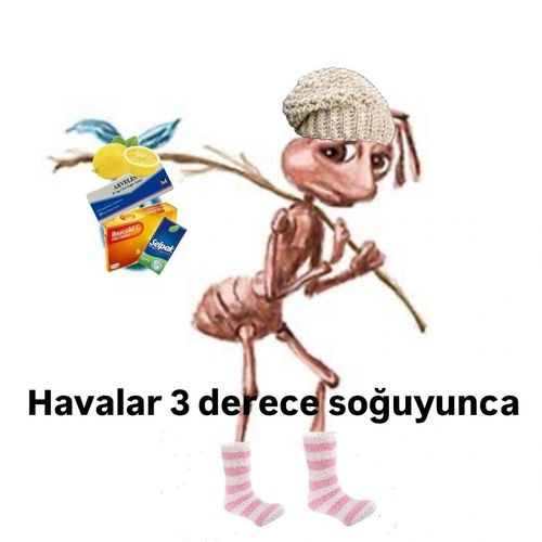 Kara Tahta paylaşım görseli