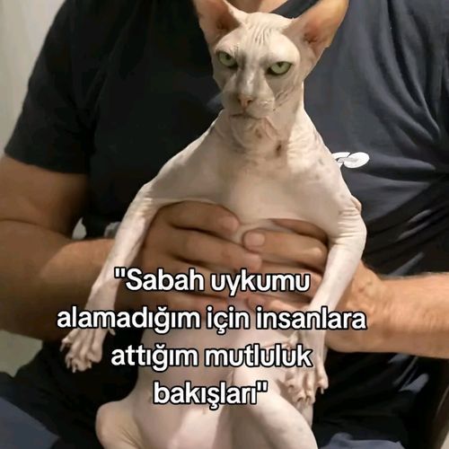 Kara Tahta paylaşım görseli