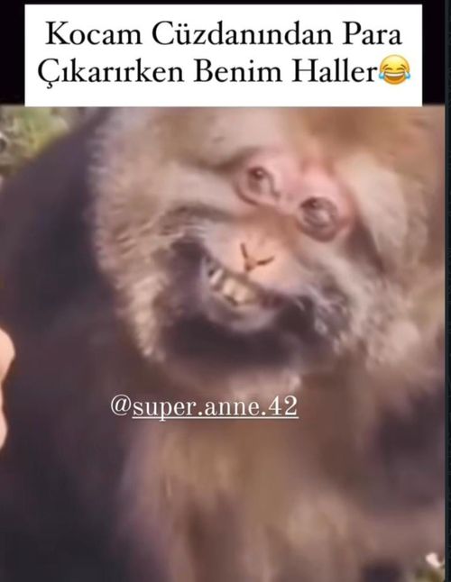 Kara Tahta paylaşım görseli