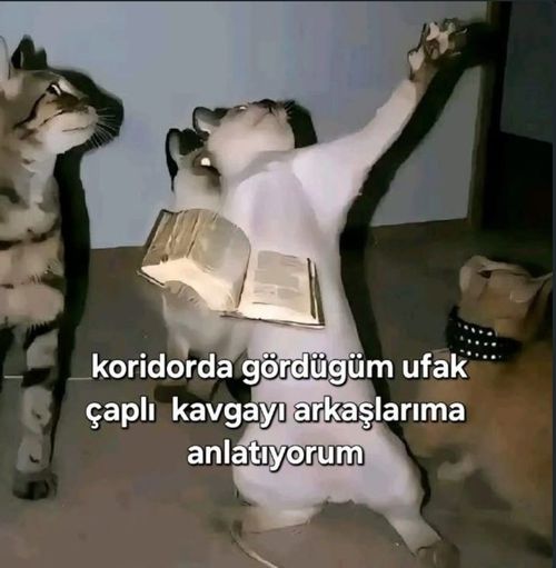 Kara Tahta paylaşım görseli