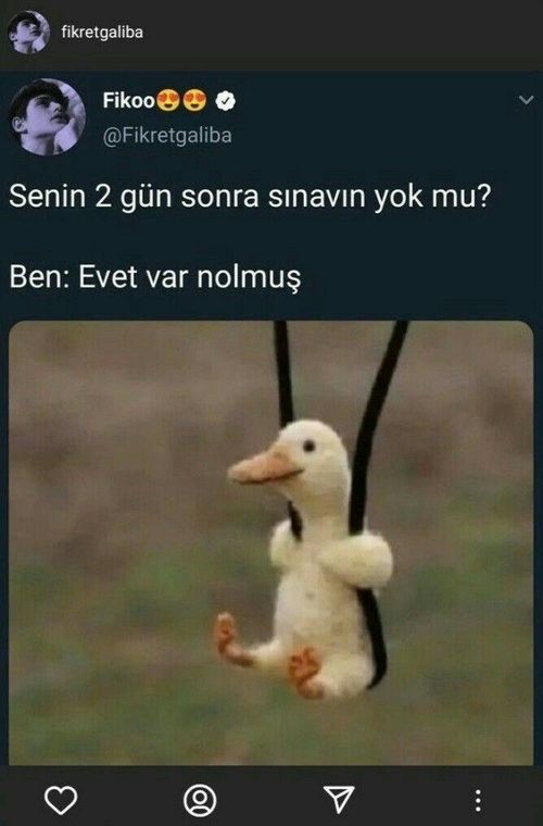 Kara Tahta paylaşım görseli