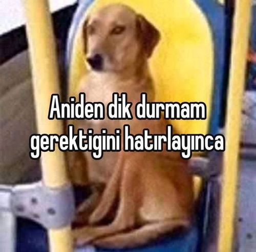 Kara Tahta paylaşım görseli